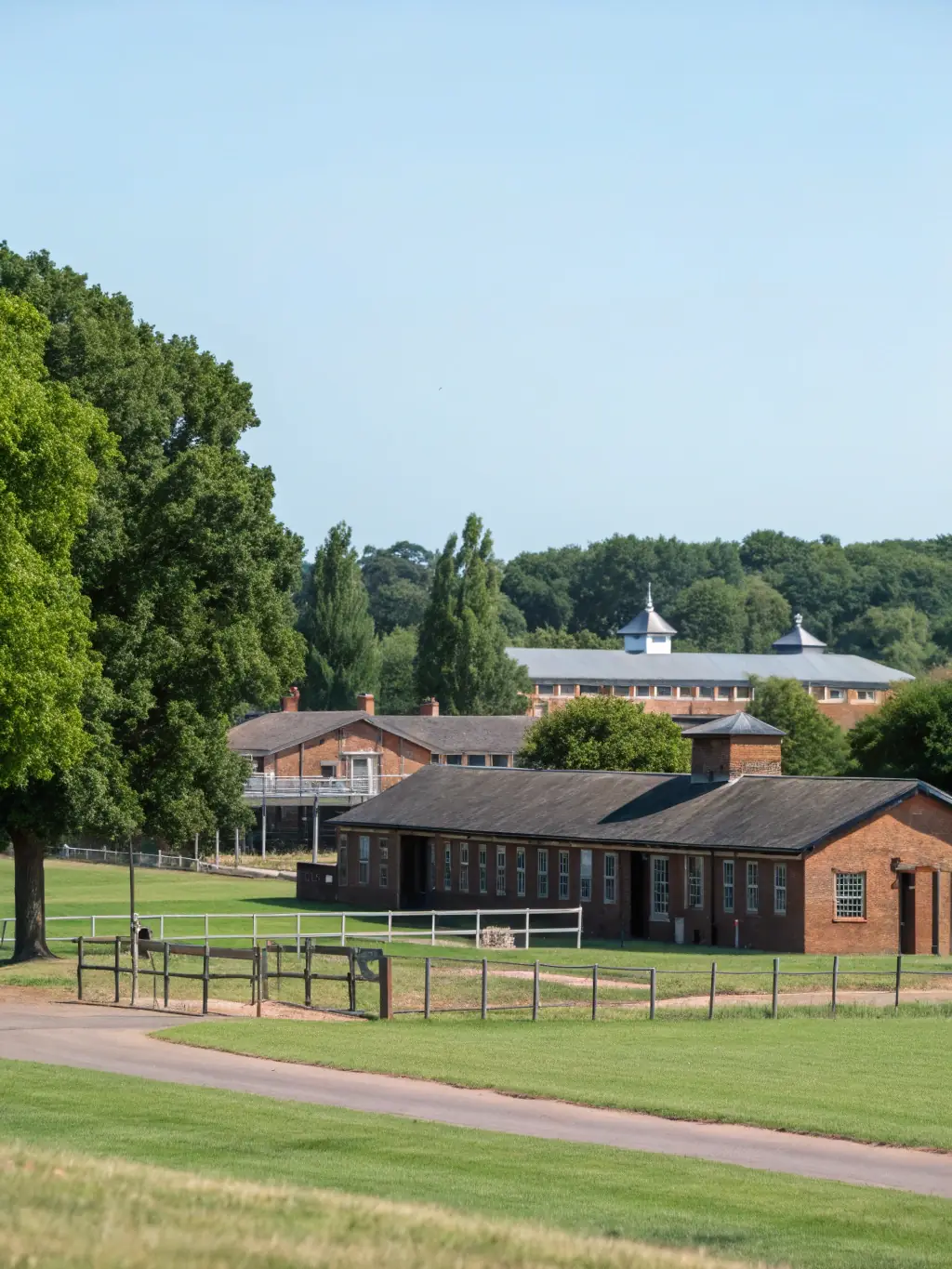 A serene landscape with a stable, mature tree, symbolizing the stability and long-term nature of value investing.